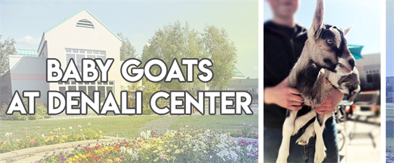 goats%20cover.png